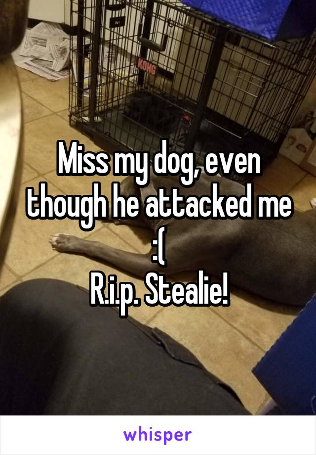 Miss my dog, even though he attacked me :(
R.i.p. Stealie!