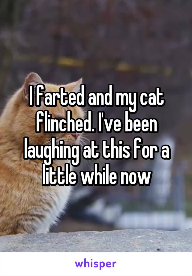 I farted and my cat flinched. I've been laughing at this for a little while now