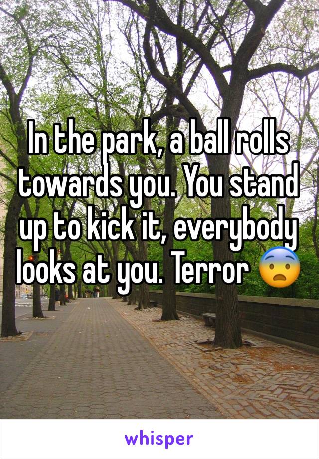 In the park, a ball rolls towards you. You stand up to kick it, everybody looks at you. Terror 😨