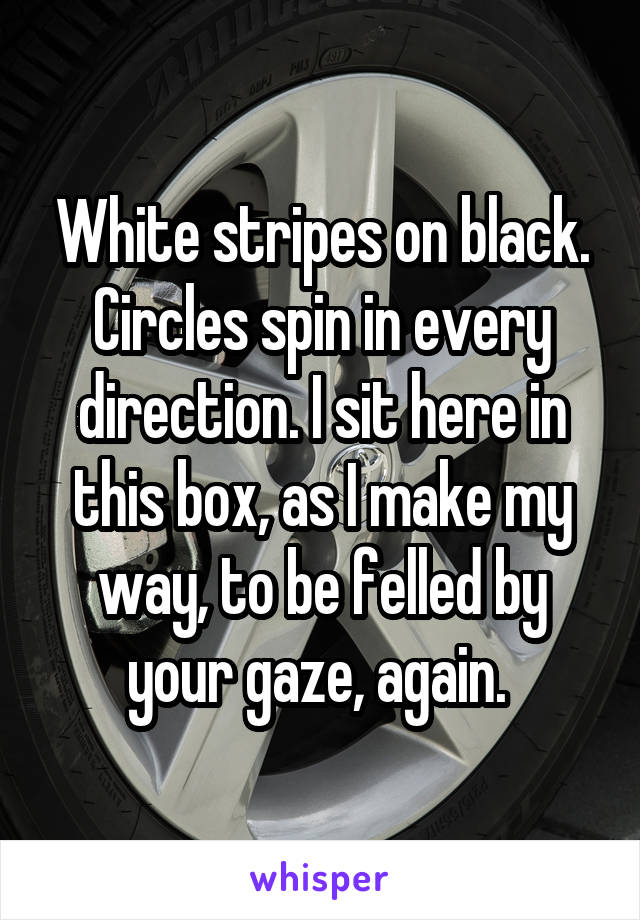 White stripes on black. Circles spin in every direction. I sit here in this box, as I make my way, to be felled by your gaze, again. 