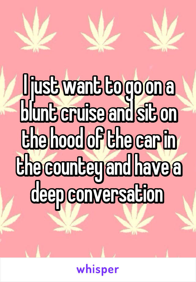 I just want to go on a blunt cruise and sit on the hood of the car in the countey and have a deep conversation 