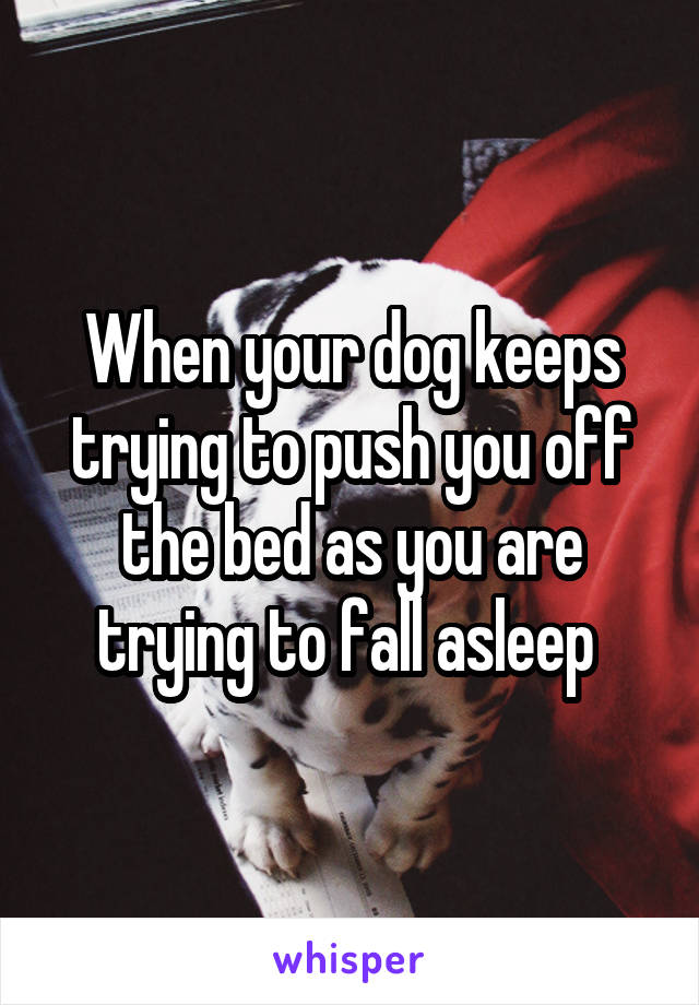 When your dog keeps trying to push you off the bed as you are trying to fall asleep 