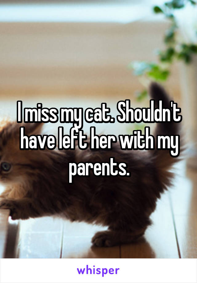 I miss my cat. Shouldn't have left her with my parents.