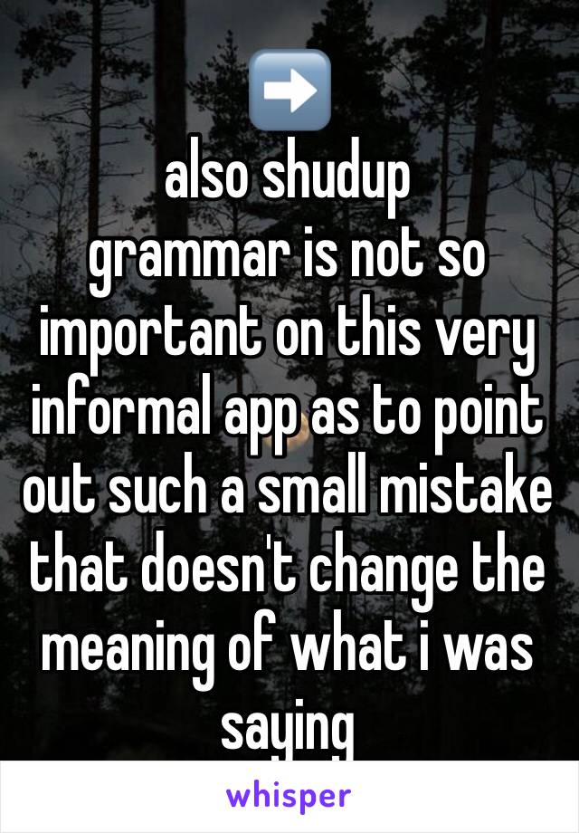 ➡️
also shudup 
grammar is not so important on this very informal app as to point out such a small mistake that doesn't change the meaning of what i was saying 