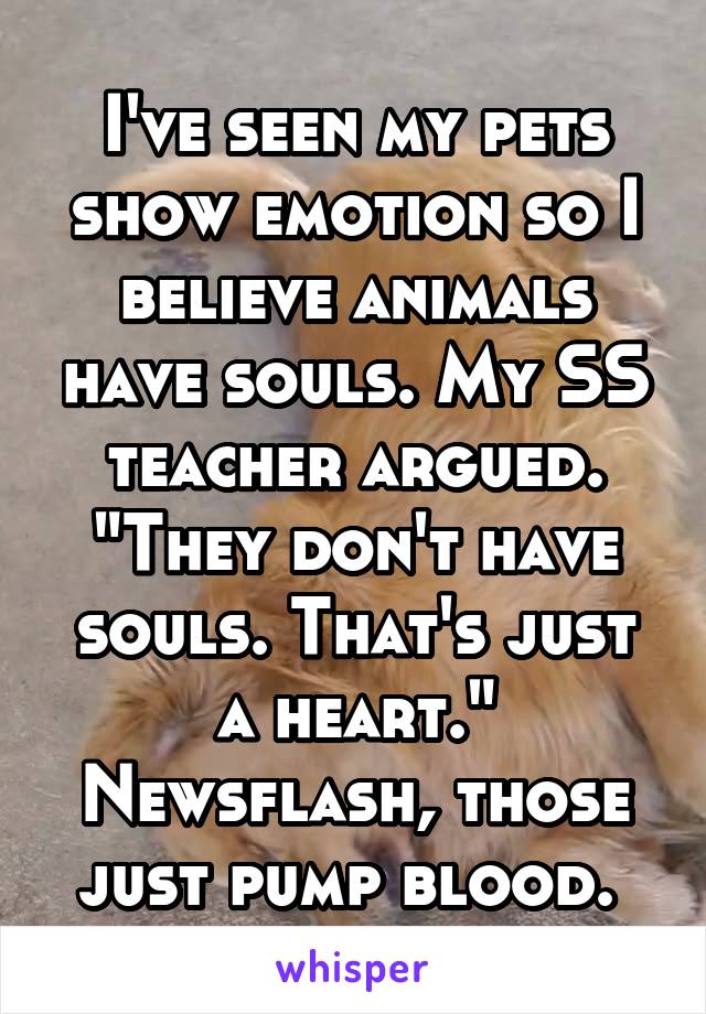 I've seen my pets show emotion so I believe animals have souls. My SS teacher argued. "They don't have souls. That's just a heart." Newsflash, those just pump blood. 