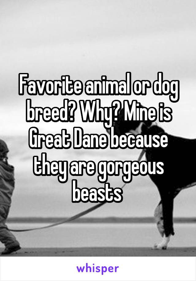 Favorite animal or dog breed? Why? Mine is Great Dane because they are gorgeous beasts 