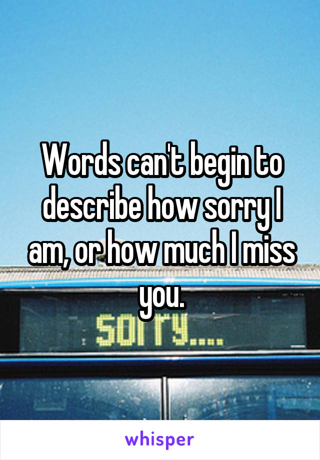 Words can't begin to describe how sorry I am, or how much I miss you.