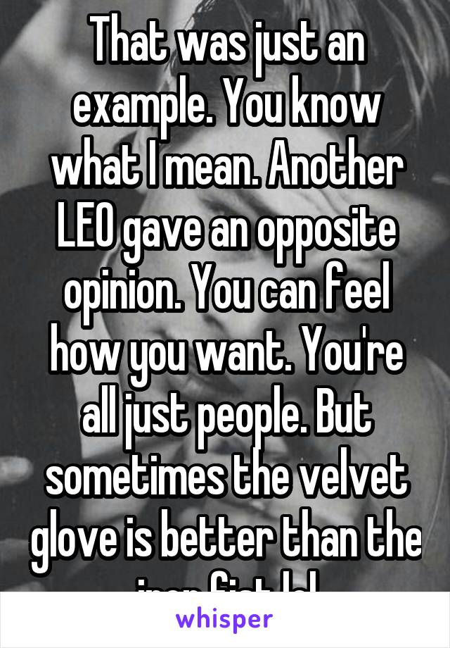 That was just an example. You know what I mean. Another LEO gave an opposite opinion. You can feel how you want. You're all just people. But sometimes the velvet glove is better than the iron fist lol