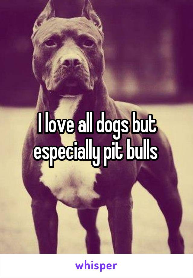 I love all dogs but especially pit bulls 