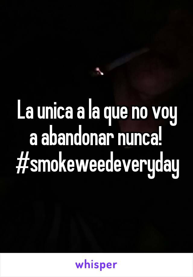 La unica a la que no voy a abandonar nunca! 
#smokeweedeveryday