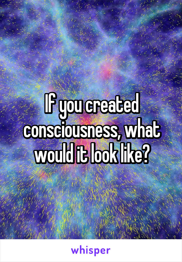 If you created consciousness, what would it look like?