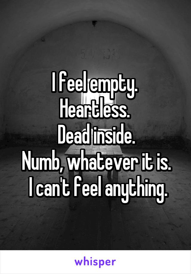 I feel empty. 
Heartless. 
Dead inside.
Numb, whatever it is.
 I can't feel anything.