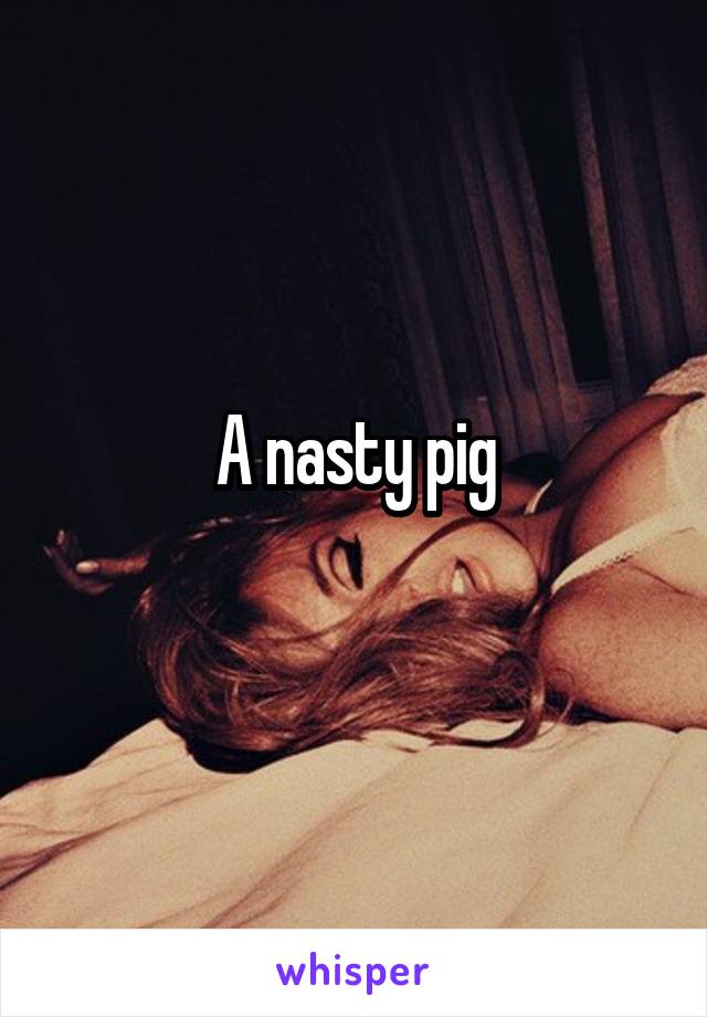 A nasty pig
