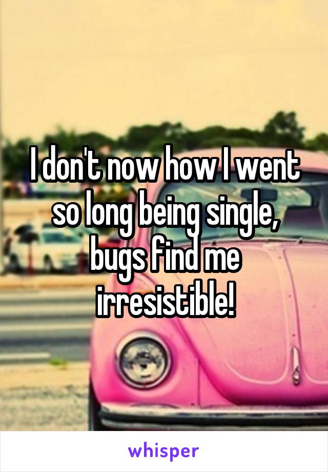 I don't now how I went so long being single, bugs find me irresistible!