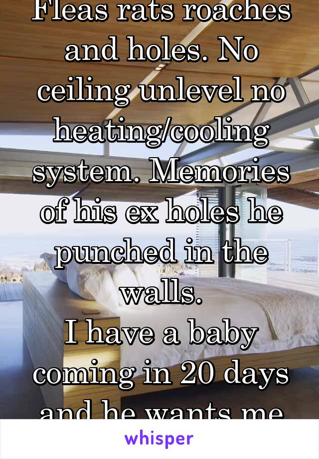 Fleas rats roaches and holes. No ceiling unlevel no heating/cooling system. Memories of his ex holes he punched in the walls.
I have a baby coming in 20 days and he wants me to live in that...