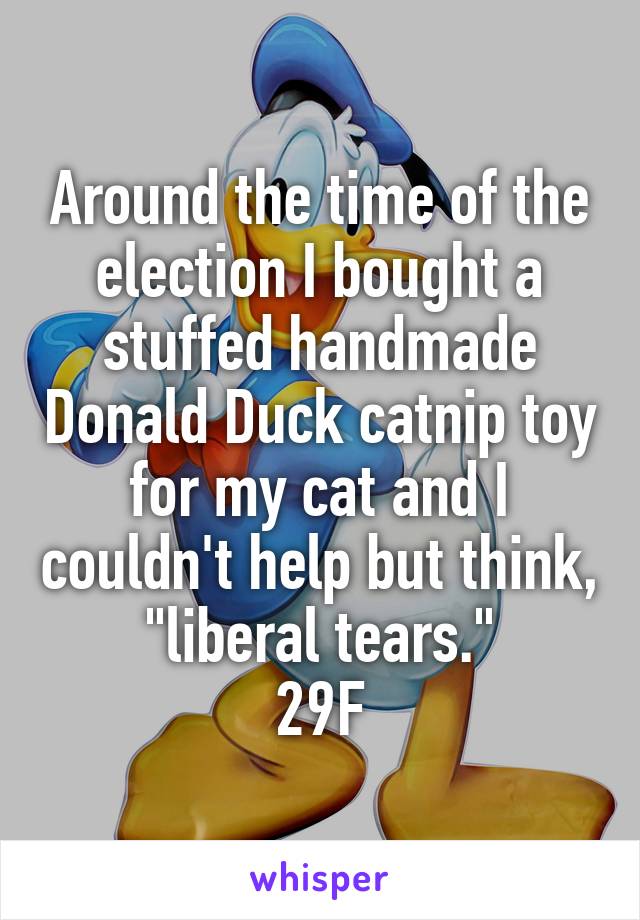 Around the time of the election I bought a stuffed handmade Donald Duck catnip toy for my cat and I couldn't help but think, "liberal tears."
29F