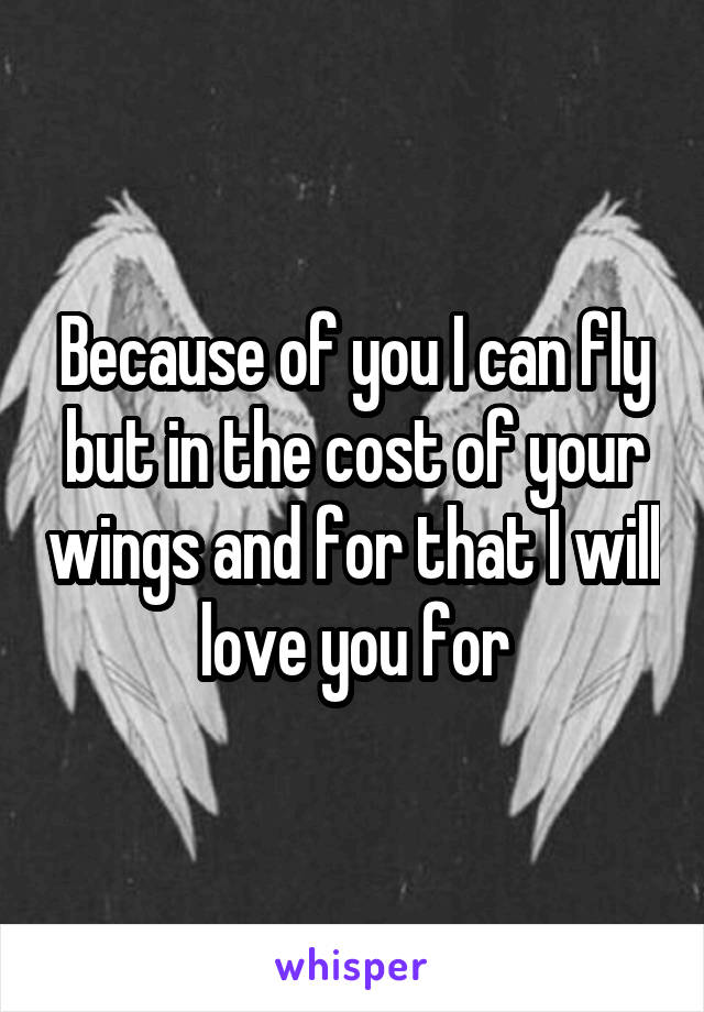 Because of you I can fly but in the cost of your wings and for that I will love you for