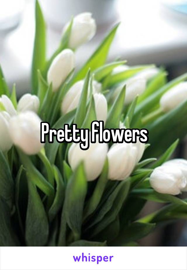 Pretty flowers