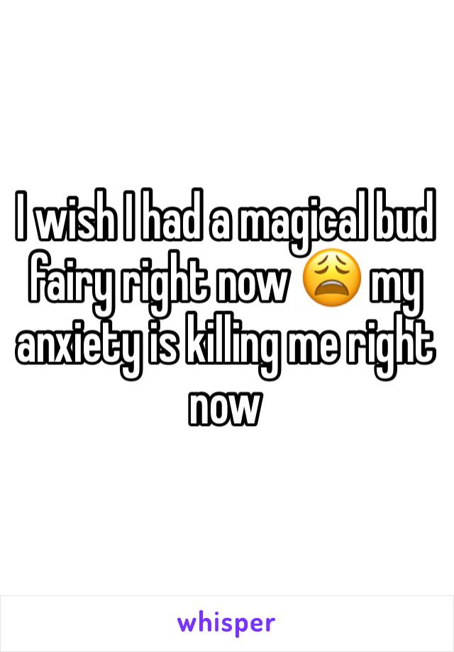 I wish I had a magical bud fairy right now 😩 my anxiety is killing me right now