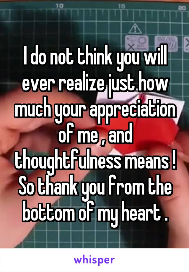 I do not think you will ever realize just how much your appreciation of me , and thoughtfulness means ! So thank you from the bottom of my heart .