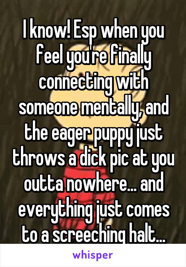 I know! Esp when you feel you're finally connecting with someone mentally, and the eager puppy just throws a dick pic at you outta nowhere... and everything just comes to a screeching halt...