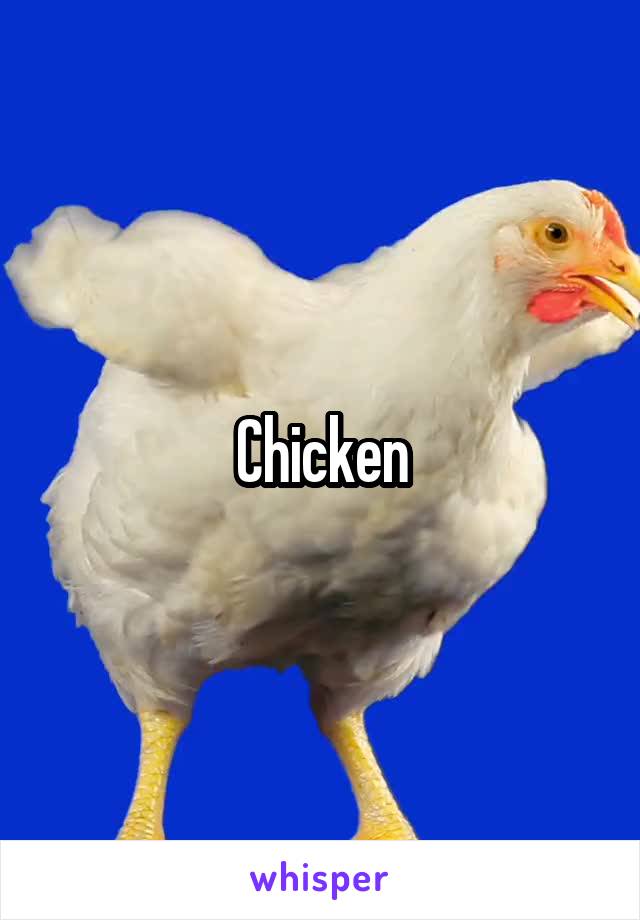 Chicken