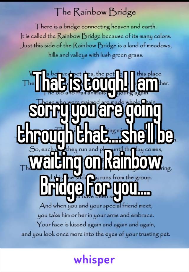 That is tough! I am sorry you are going through that....she'll be waiting on Rainbow Bridge for you....