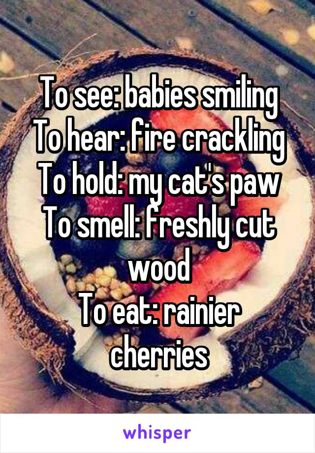 To see: babies smiling
To hear: fire crackling
To hold: my cat's paw
To smell: freshly cut wood
To eat: rainier cherries