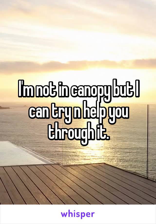 I'm not in canopy but I can try n help you through it.