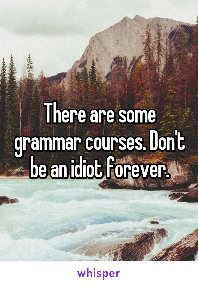 There are some grammar courses. Don't be an idiot forever.