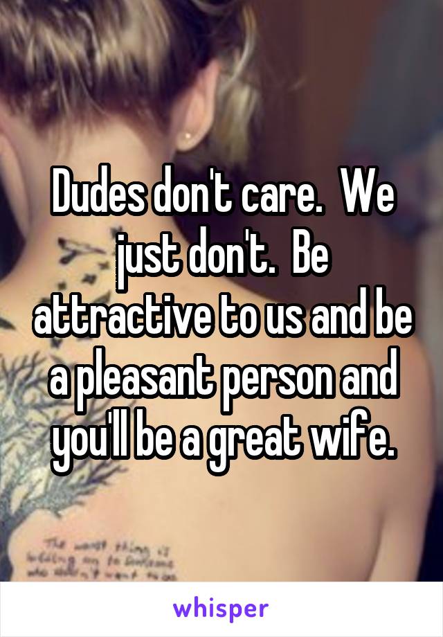 Dudes don't care.  We just don't.  Be attractive to us and be a pleasant person and you'll be a great wife.