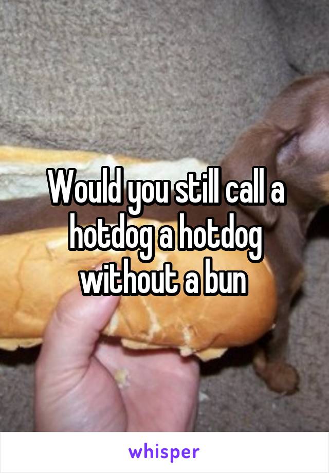 Would you still call a hotdog a hotdog without a bun 