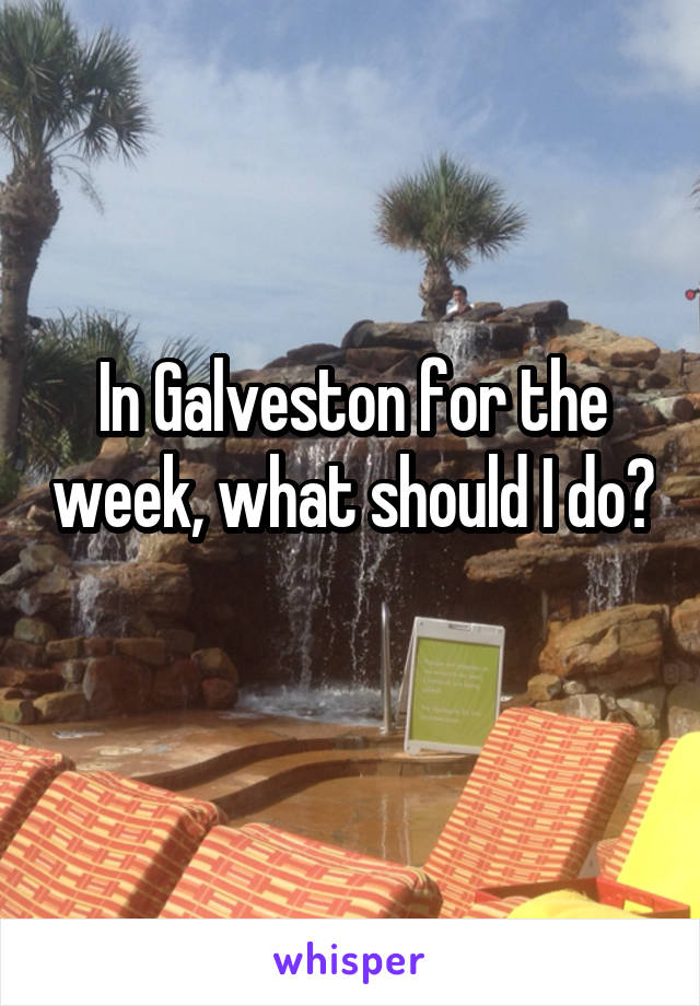 In Galveston for the week, what should I do? 