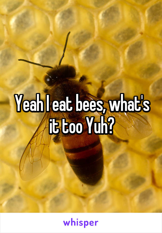 Yeah I eat bees, what's it too Yuh?