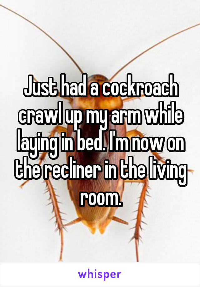 Just had a cockroach crawl up my arm while laying in bed. I'm now on the recliner in the living room.