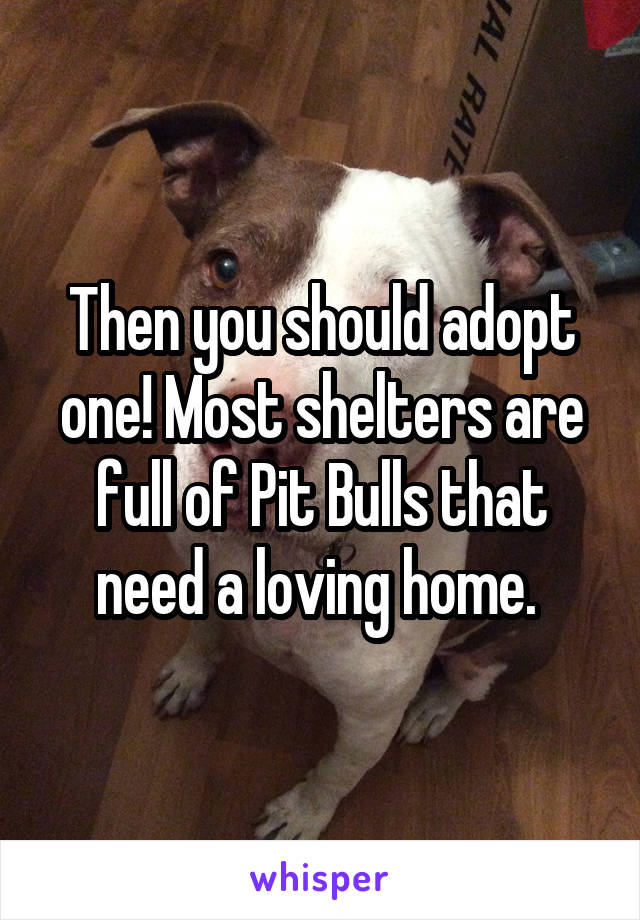 Then you should adopt one! Most shelters are full of Pit Bulls that need a loving home. 