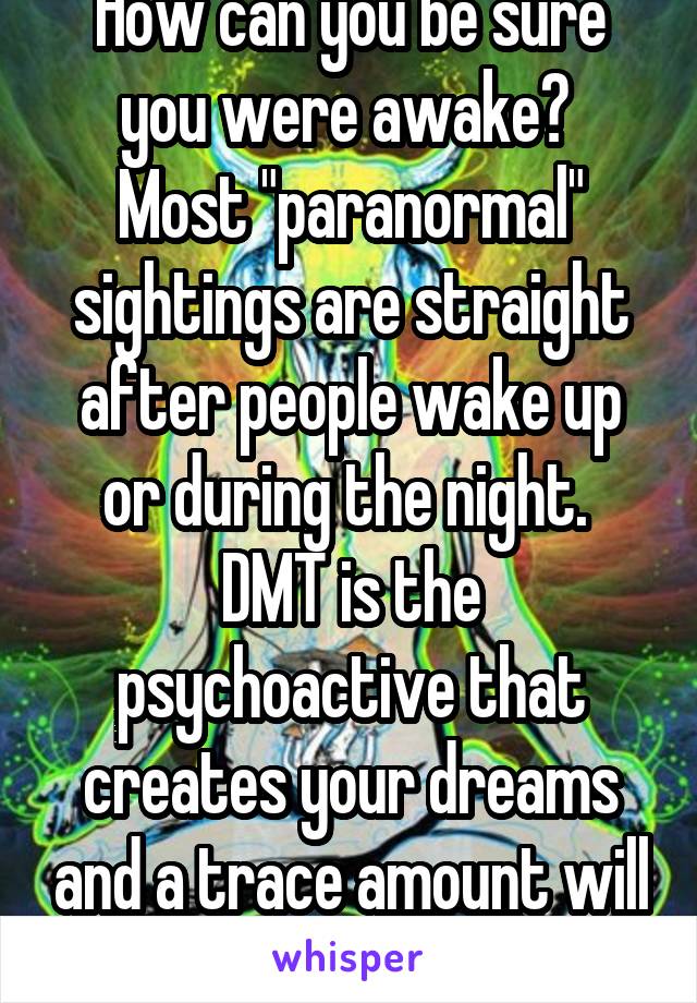 How can you be sure you were awake? 
Most "paranormal" sightings are straight after people wake up or during the night. 
DMT is the psychoactive that creates your dreams and a trace amount will trip