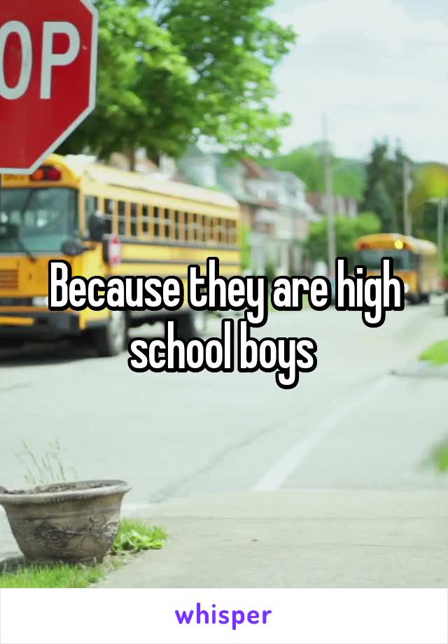 Because they are high school boys 