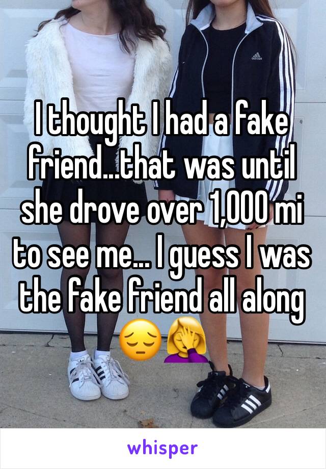 I thought I had a fake friend...that was until she drove over 1,000 mi to see me... I guess I was the fake friend all along 😔🤦‍♀️