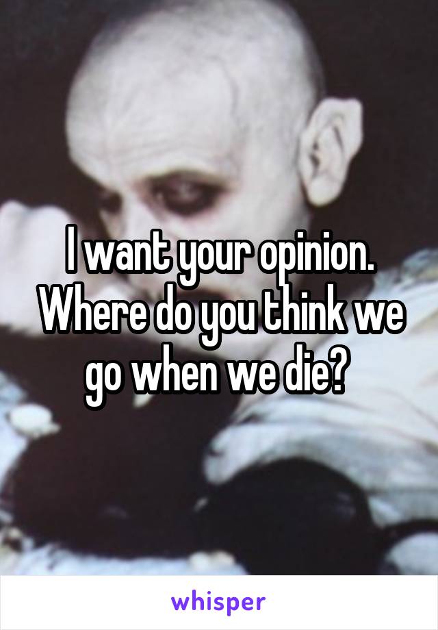 I want your opinion. Where do you think we go when we die? 