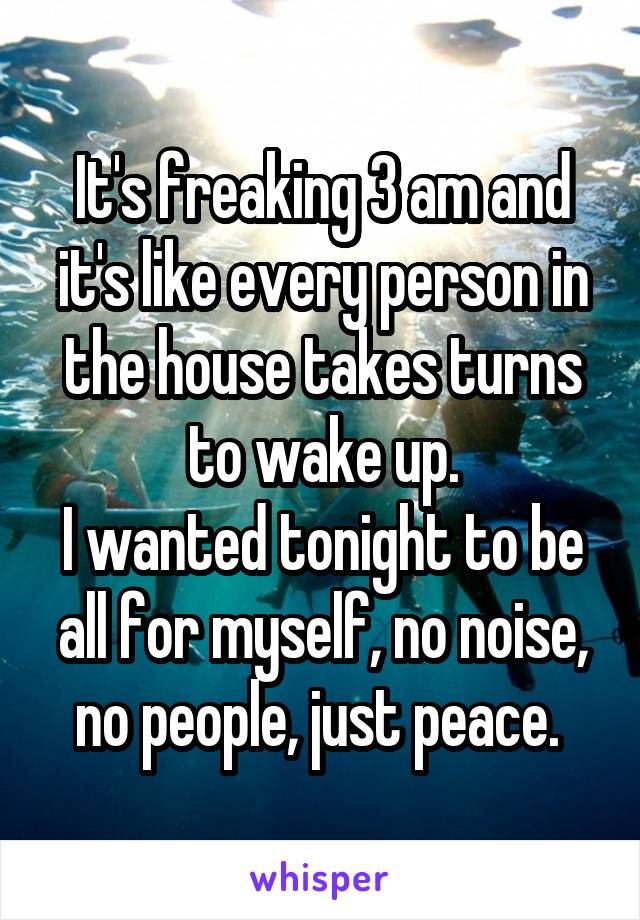 It's freaking 3 am and it's like every person in the house takes turns to wake up.
I wanted tonight to be all for myself, no noise, no people, just peace. 