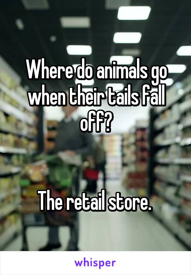 Where do animals go when their tails fall off?


The retail store. 