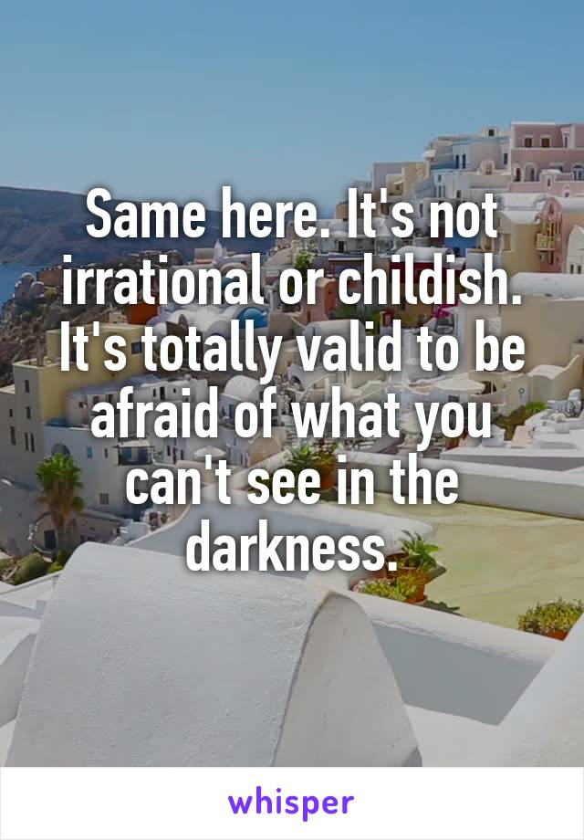 Same here. It's not irrational or childish. It's totally valid to be afraid of what you can't see in the darkness.
