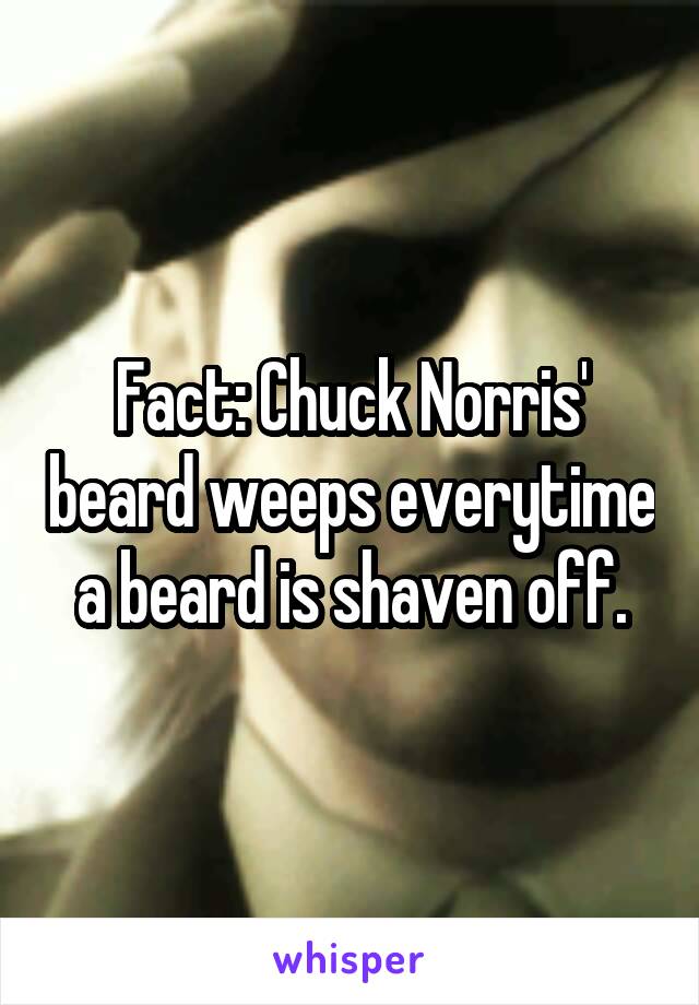 Fact: Chuck Norris' beard weeps everytime a beard is shaven off.