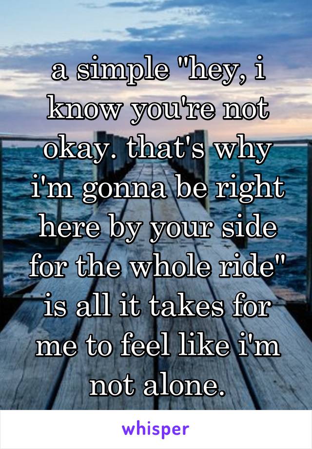 a simple "hey, i know you're not okay. that's why i'm gonna be right here by your side for the whole ride" is all it takes for me to feel like i'm not alone.