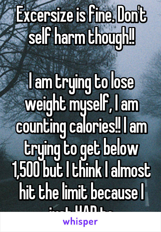 Excersize is fine. Don't self harm though!!

I am trying to lose weight myself, I am counting calories!! I am trying to get below 1,500 but I think I almost hit the limit because I just HAD to