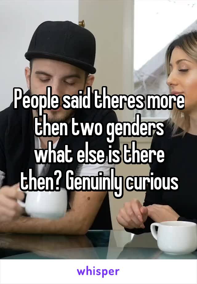 People said theres more then two genders what else is there then? Genuinly curious