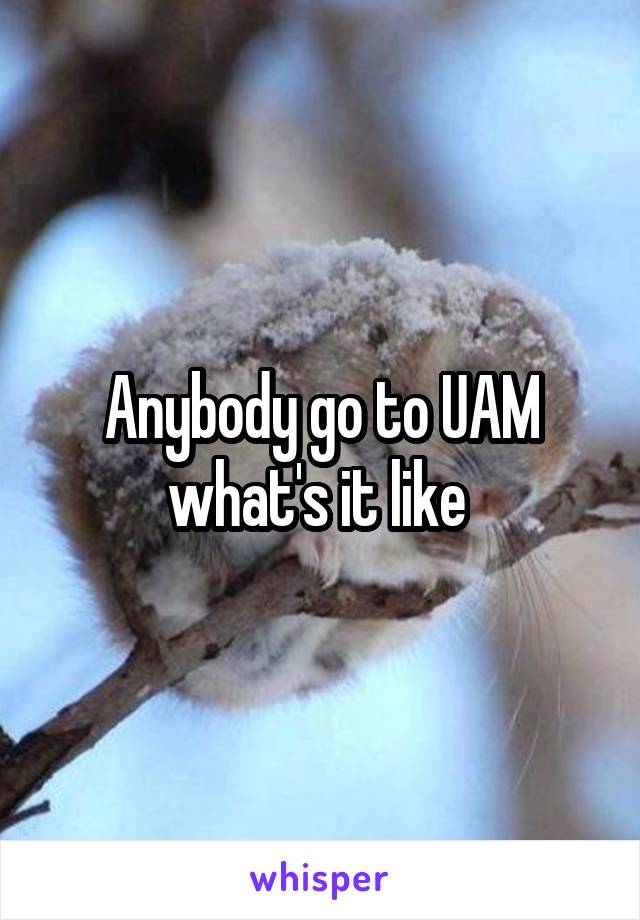 Anybody go to UAM what's it like 