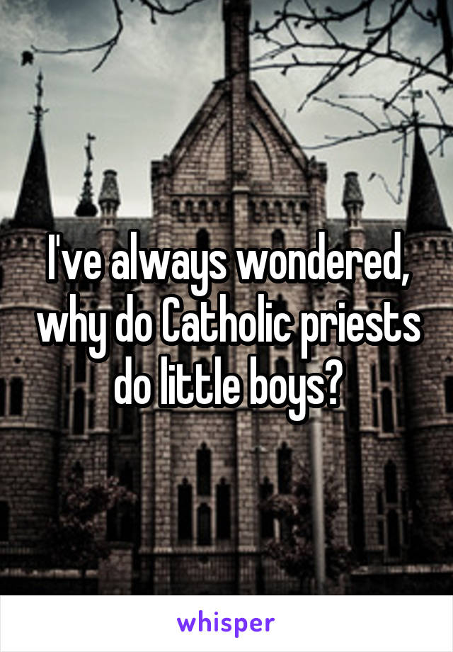 I've always wondered, why do Catholic priests do little boys?