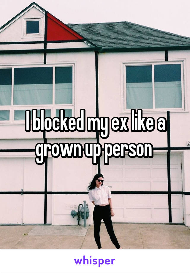 I blocked my ex like a grown up person 